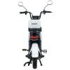 Велосипед з електромотором SPARK ADVENT 14" 48V/500W/20Ah Білий