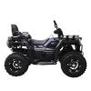 Квадроцикл Spark GRAND 250SE