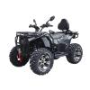 Квадроцикл Spark APEX 250SE