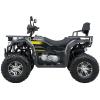 Квадроцикл SP200-11Е