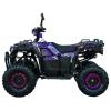 Квадроцикл SP125-11