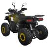 Квадроцикл SP125-12