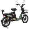 Велосипед з електромотором SPARK RIDER PRO 14" 48V/650W/20Ah Зелений