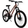 Велосипед SPARK ROAD (колеса - 24", алюмінієва рама - 11") бронзовий