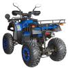 Квадроцикл SP250-4